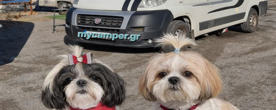 Ταξίδια με αυτοκινούμενο και κατοικίδιο στην Ευρώπη