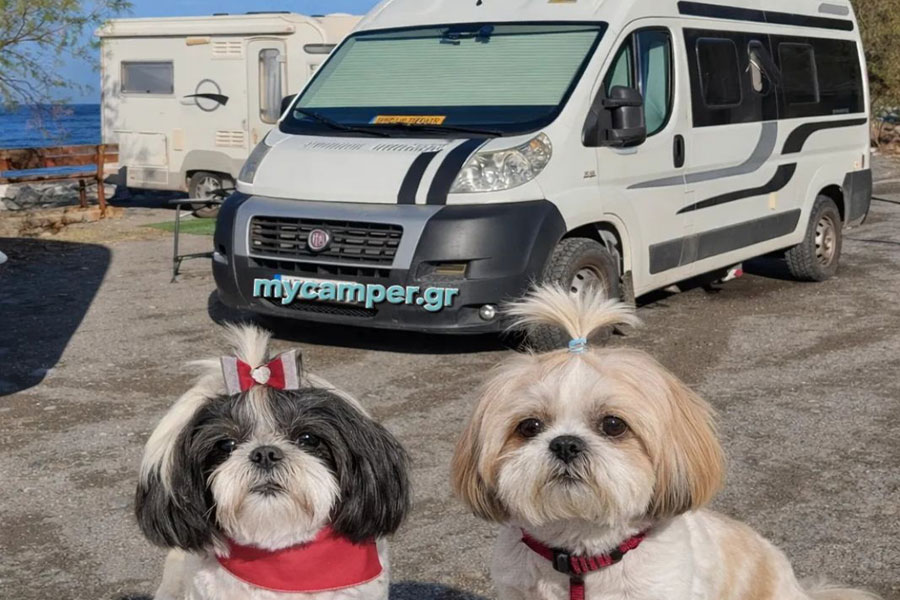 Ταξίδια με αυτοκινούμενο και κατοικίδιο στην Ευρώπη