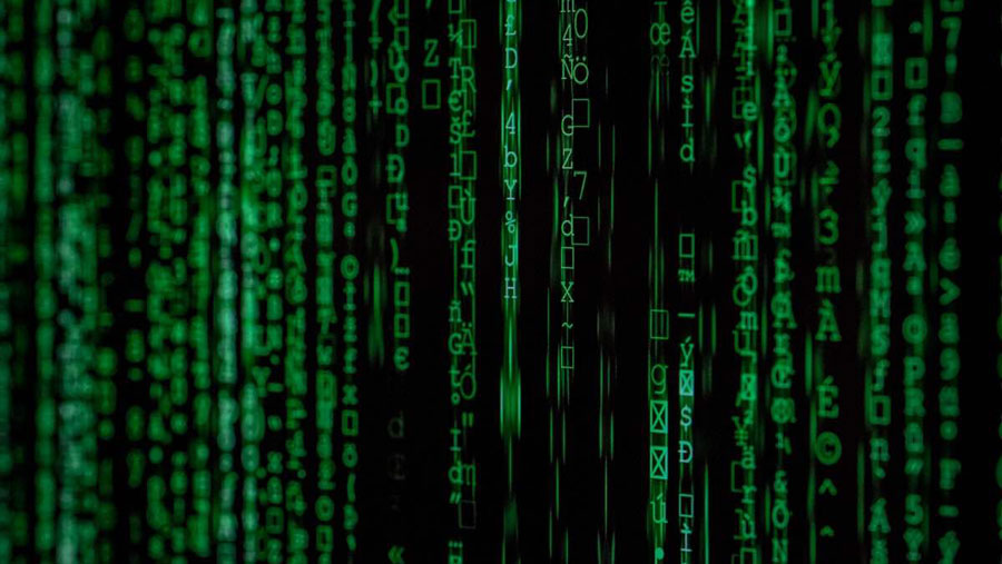 Όροι Χρήσης