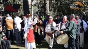 Βλάχικος Γάμος Θήβας