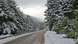 Εξόρμηση στα Κελάρια Παρνασσού και μετά Καμένα Βούρλα για ζεστό μπάνιο!