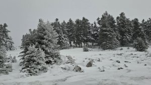 Εξόρμηση στα Κελάρια Παρνασσού και μετά Καμένα Βούρλα για ζεστό μπάνιο!