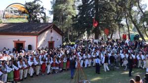 Βλάχικος Γάμος Θήβας